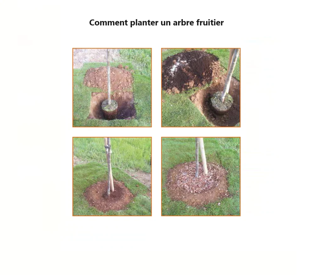 Image du produit 7